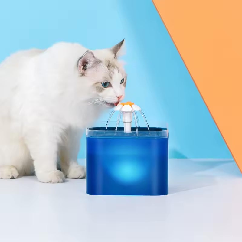 Water Fauntain